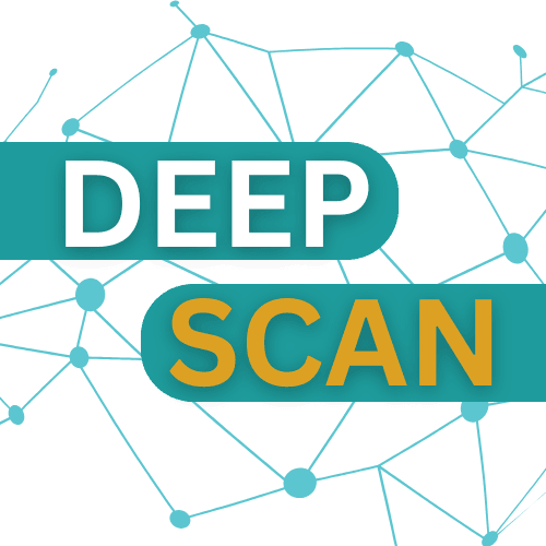 DeepScan API